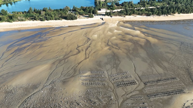 这几年金门海岸底质出现明显变化，图为烈屿中墩沙化的潮间带。